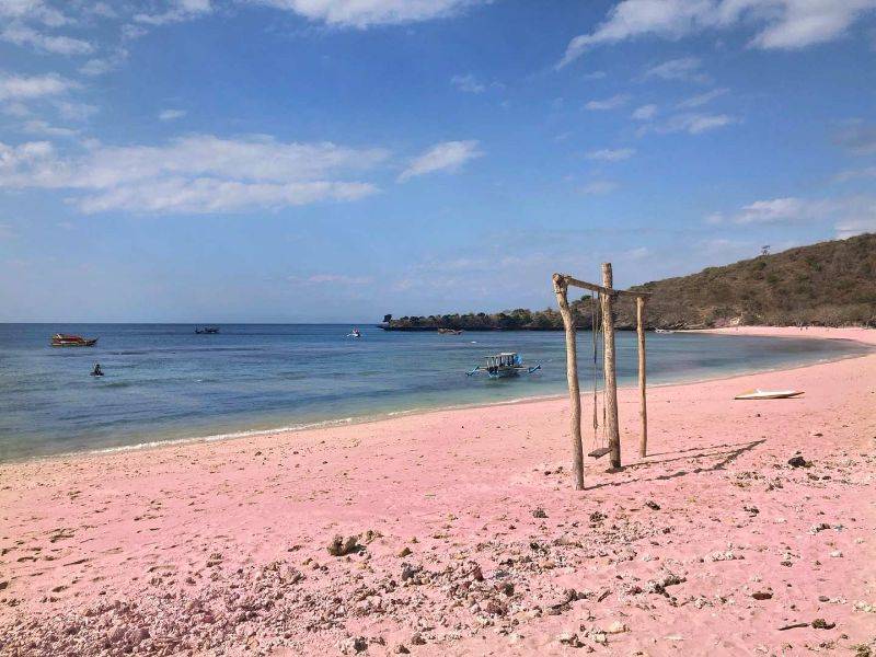 Pasir Pink di pantai pink