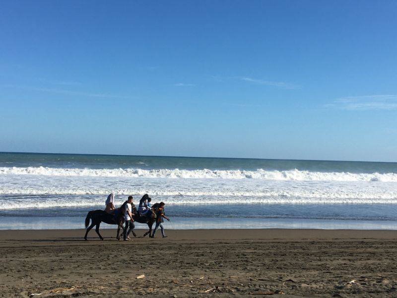 Sewa Kuda di Pantai Suwuk