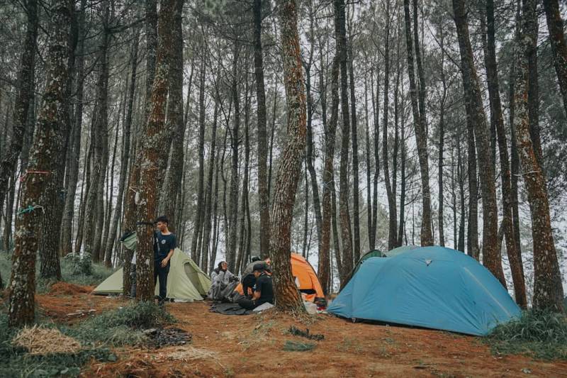 Camping di Gunung Putri Lembang By @notasicreativestudio